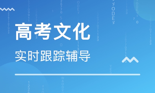 艺考生文化课